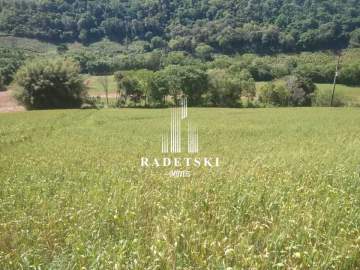 Imperdível - Rural à venda Rural, Viadutos - RMTU00008