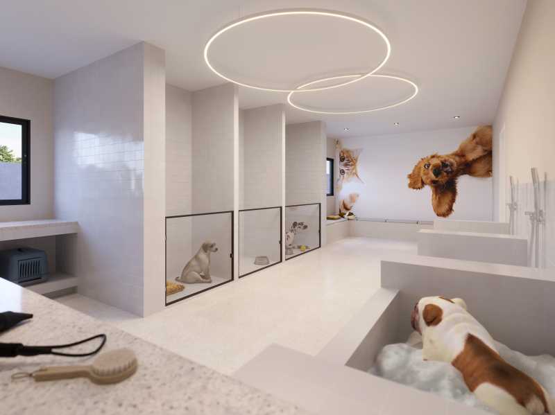 Pet Care - 27