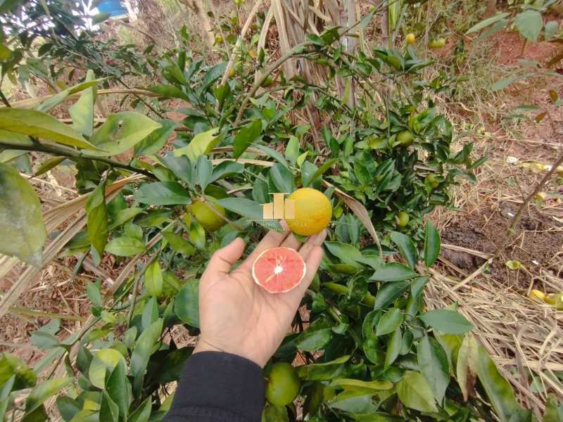Granja em Juiz de Fora, Chácar - 30