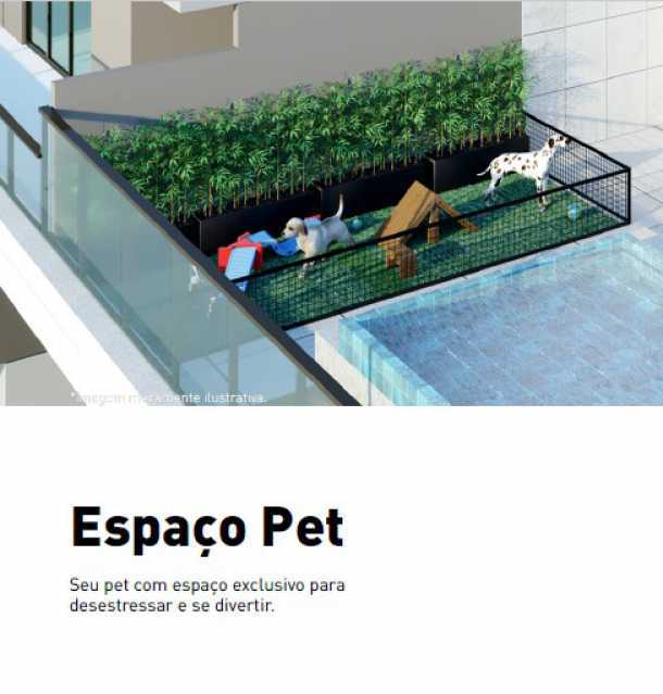 Pet - 10