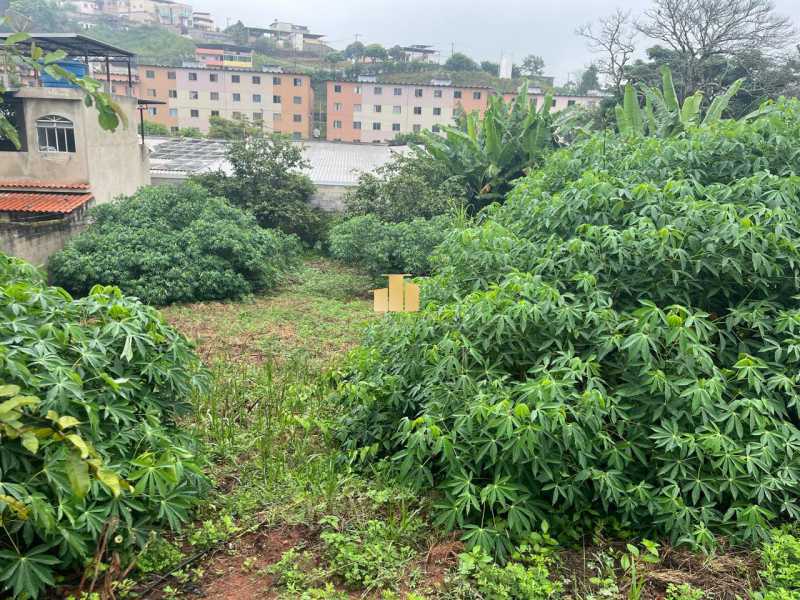 WhatsApp Image 2025-05-07 at 1 - 10