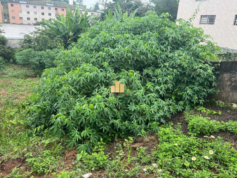 WhatsApp Image 2025-05-07 at 1 - 11