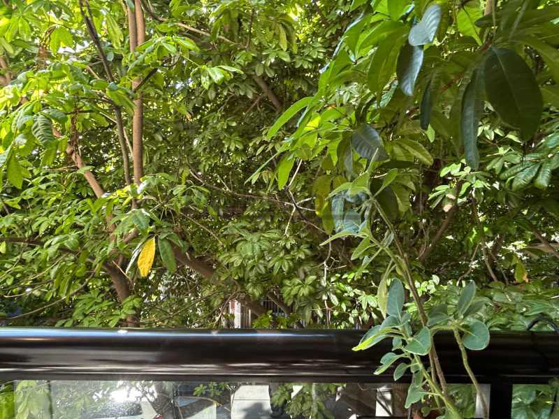 Conheça 14 do imóvel - Apartamento 2 quartos à venda Botafogo, Rio de Janeiro - R$ 715.000 - HLAP20441 - 7 14 - 7