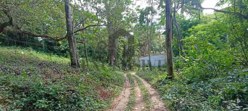 quintal - 8