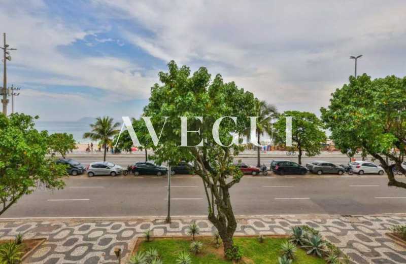 WhatsApp Image 2026-02-19 at 3 - 6