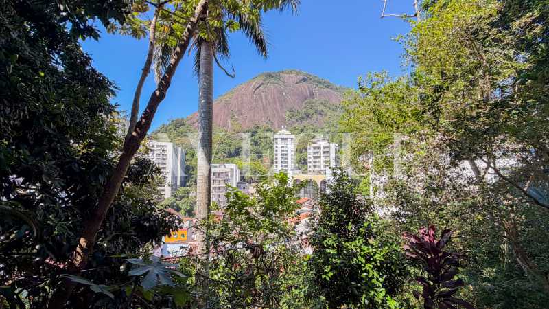 IMG_9261_AVEGUI - 2
