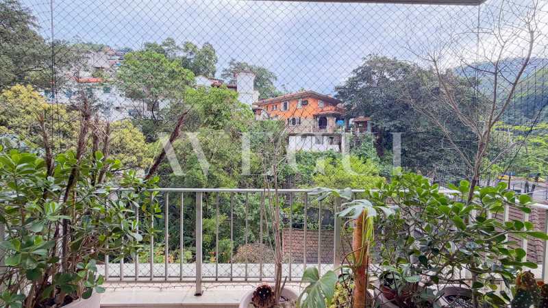 IMG_0465_AVEGUI - 1