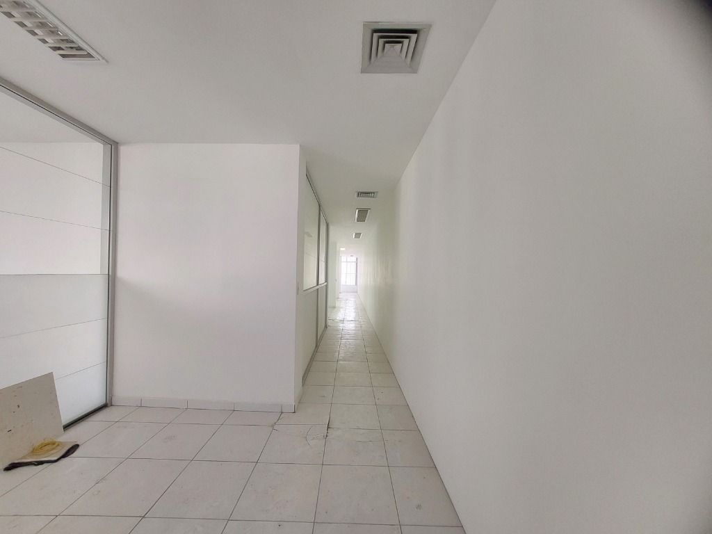FOTO_5 - 5