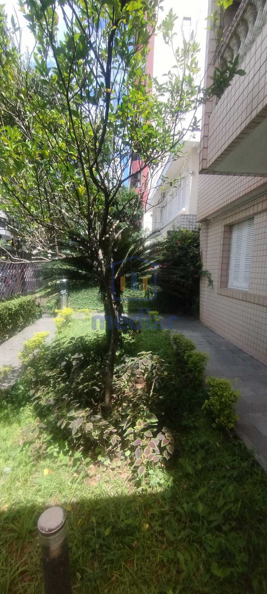 Jardim do Prédio - 19