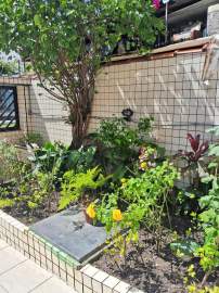 Apartamento 2 quartos à venda Santos,SP - R$ 390.000 - MNAP20369