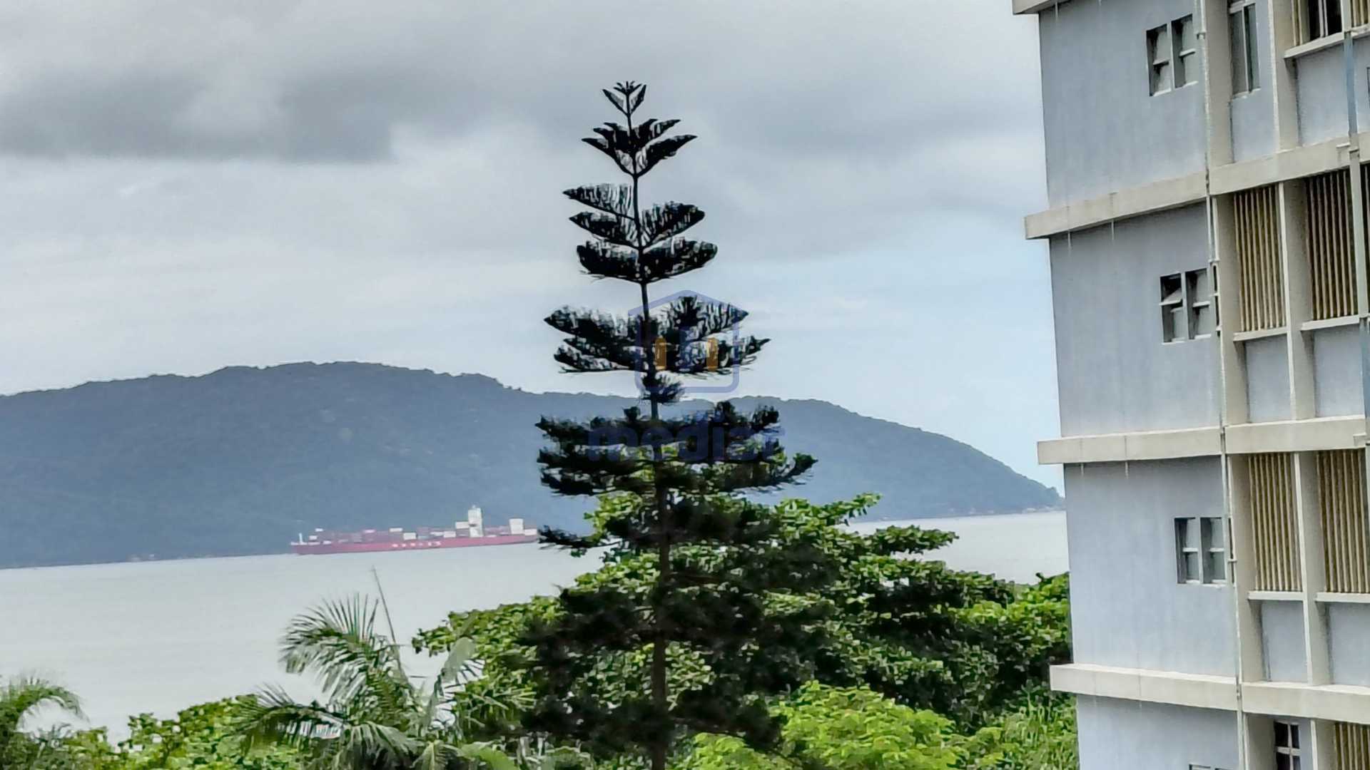 IMG_20260303_124349931_HDR - 6