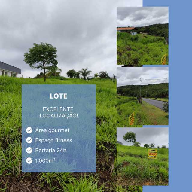 56 - Lote GranRoyalle Lote 6 1 - 6