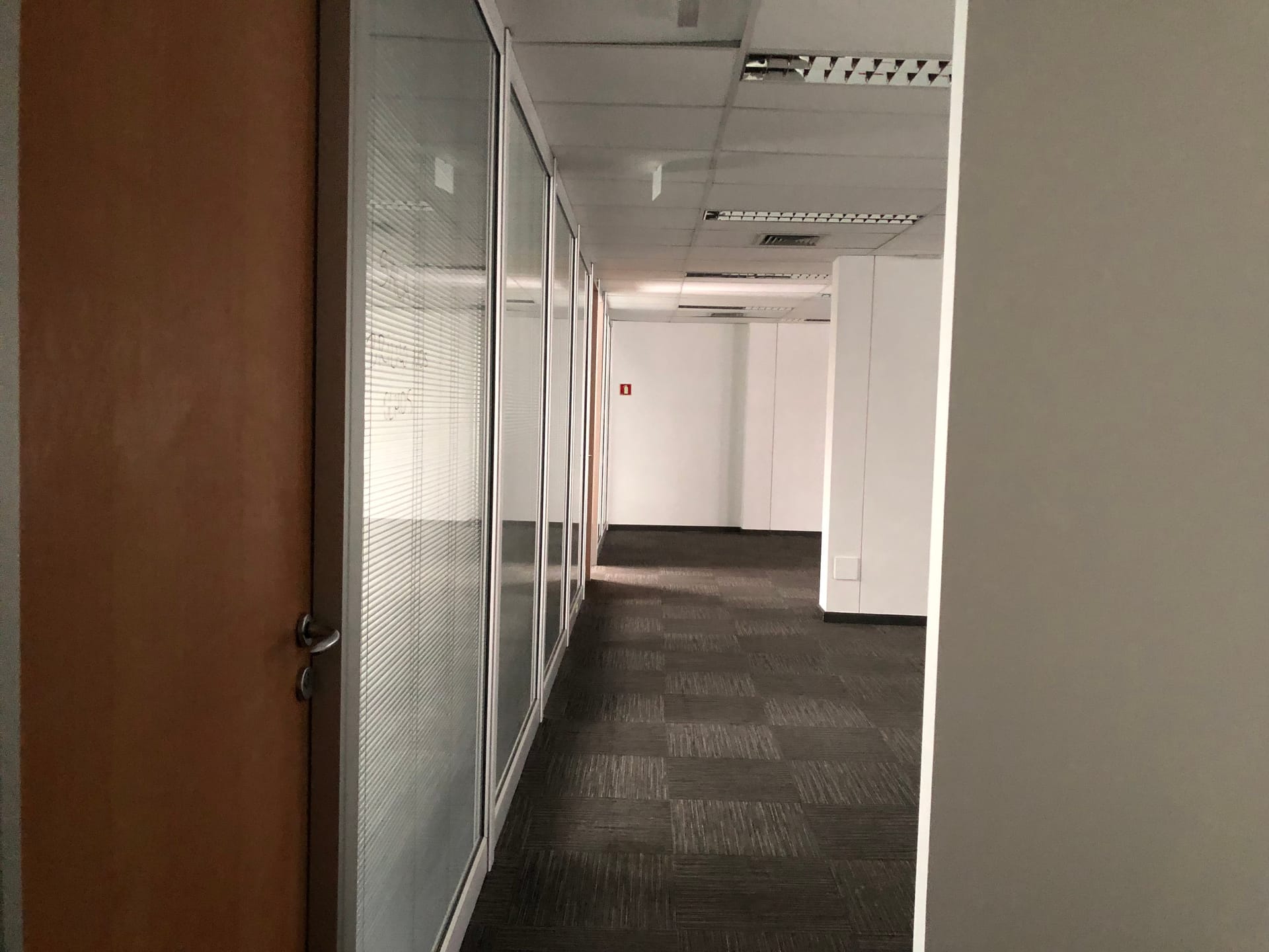 FOTO_1 - 7