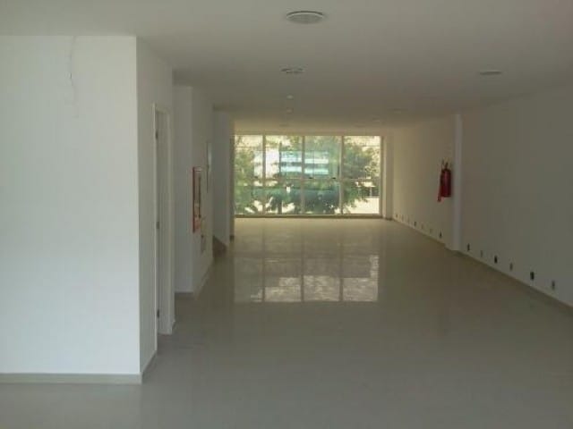 FOTO_11 - 11
