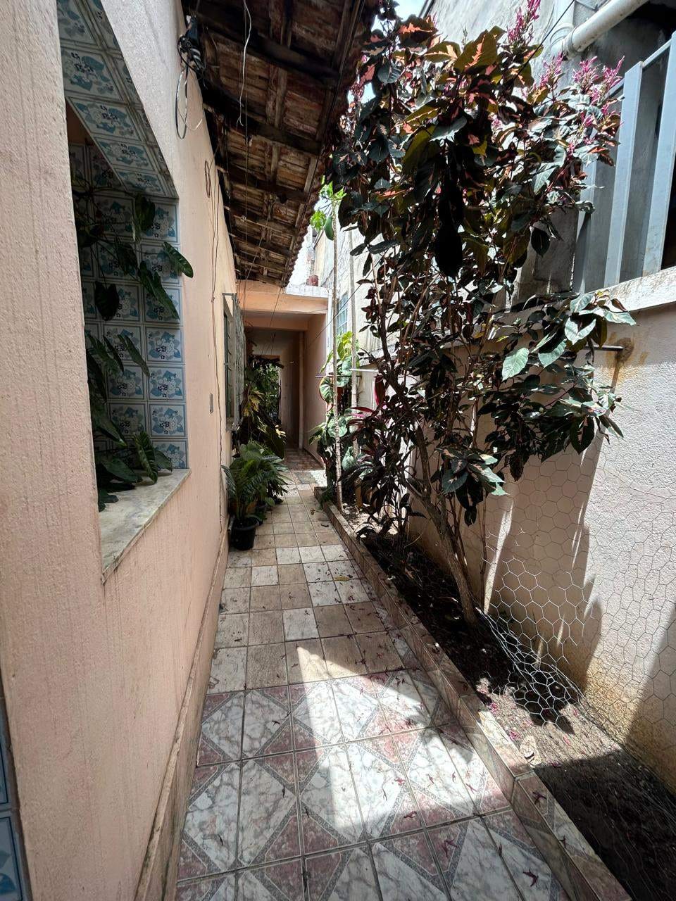 FOTO_16 - 1