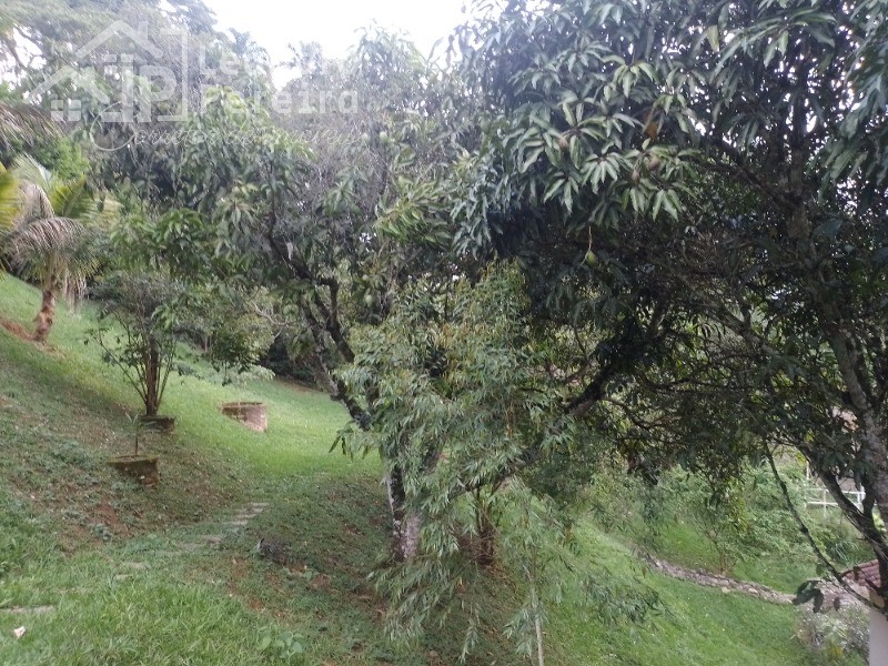 Foto 12 - 12
