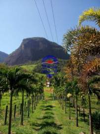 Sítio em Trapiche - MCSI50001