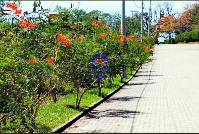 Conheça FOTO 15 do imóvel - Terreno Residencial à venda Nova Cidade, Macaé - R$ 160.000 - MCTR00038 - 4 FOTO 15 - 4