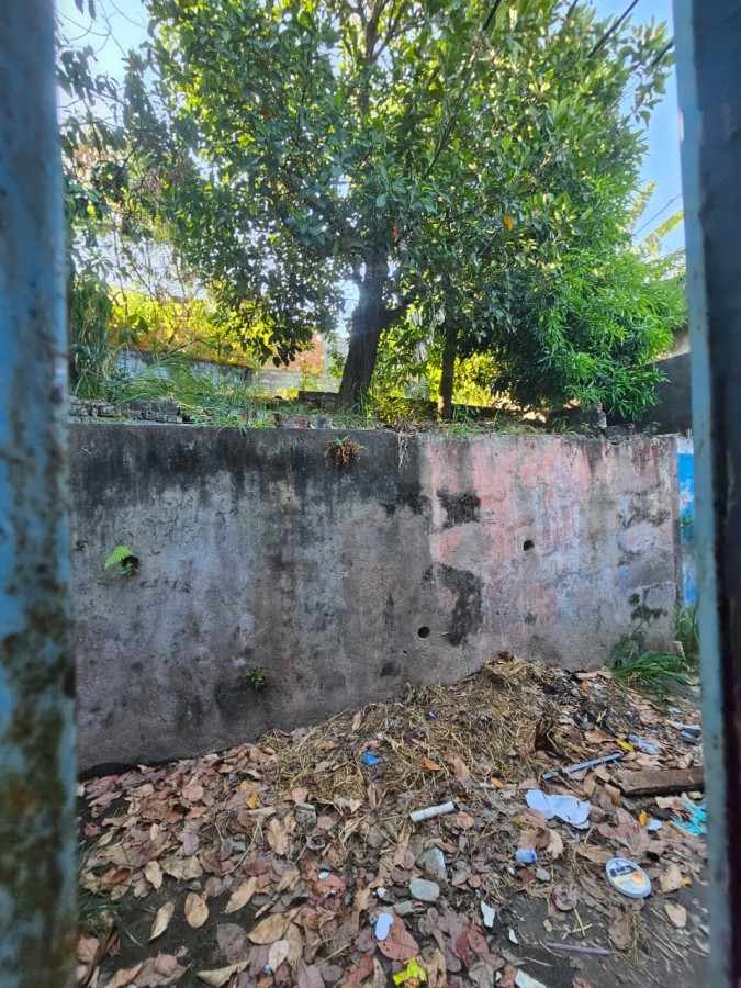 FOTO_9 - 9