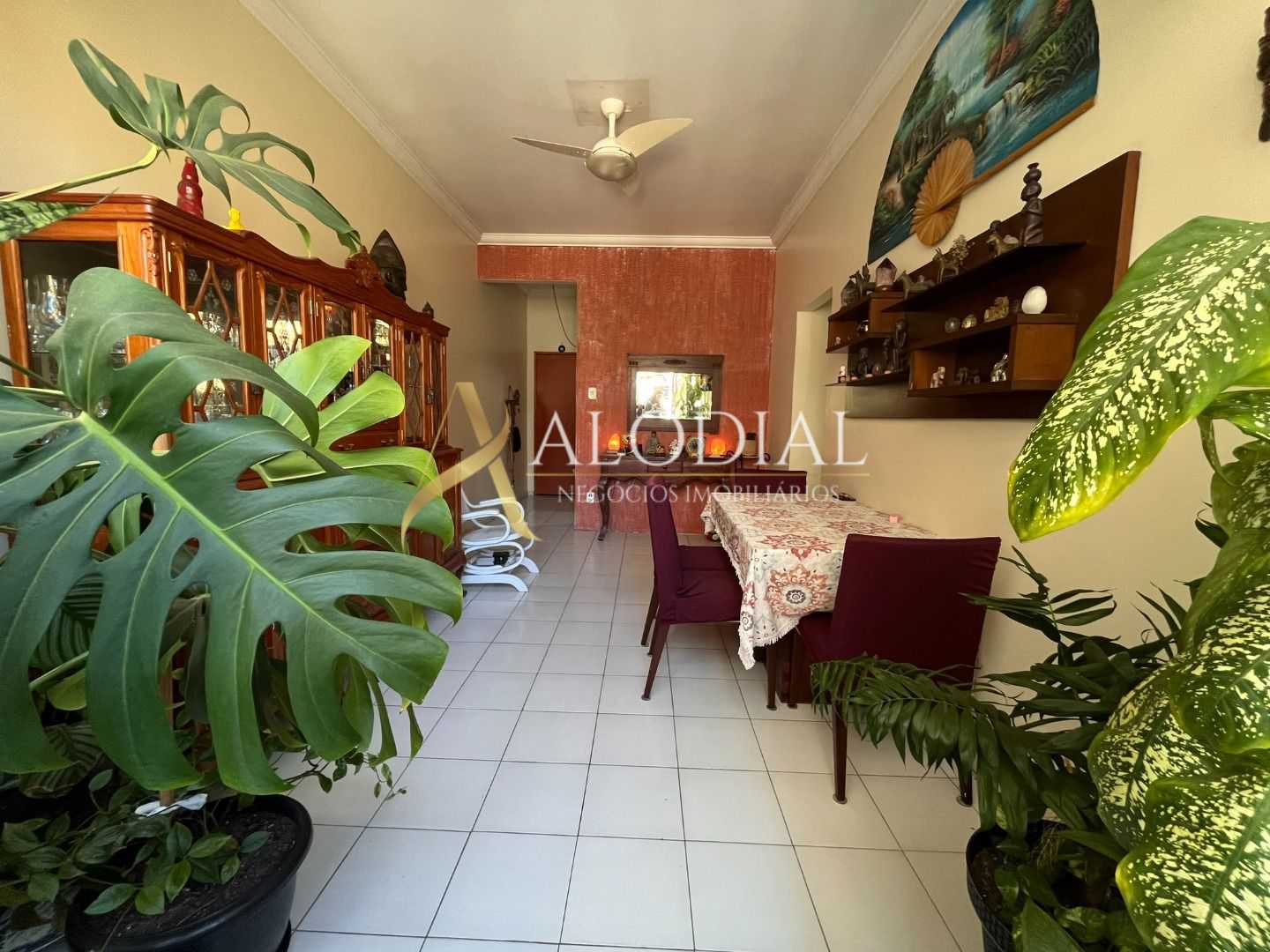 FOTO_10 - 10