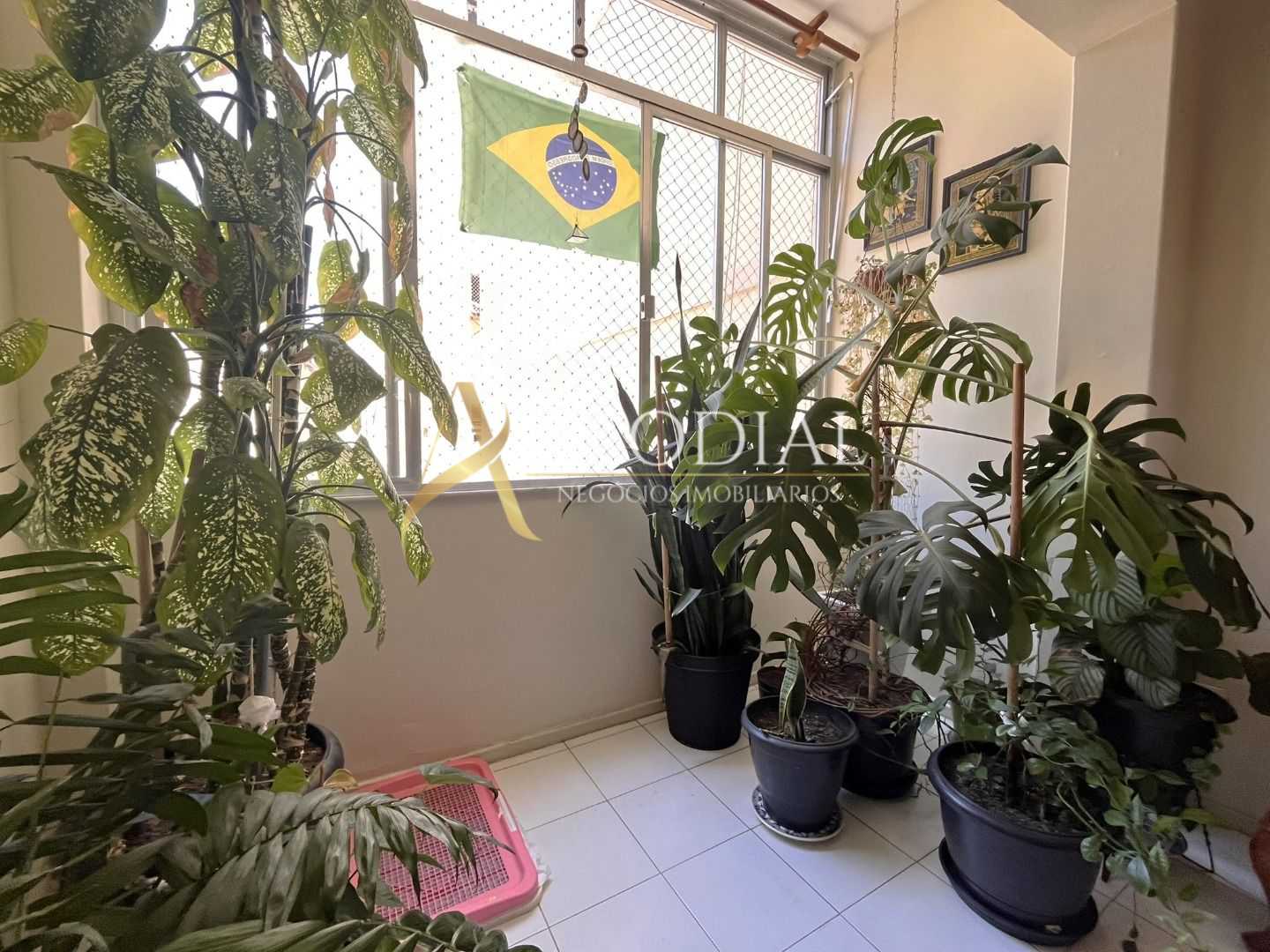 FOTO_7 - 7