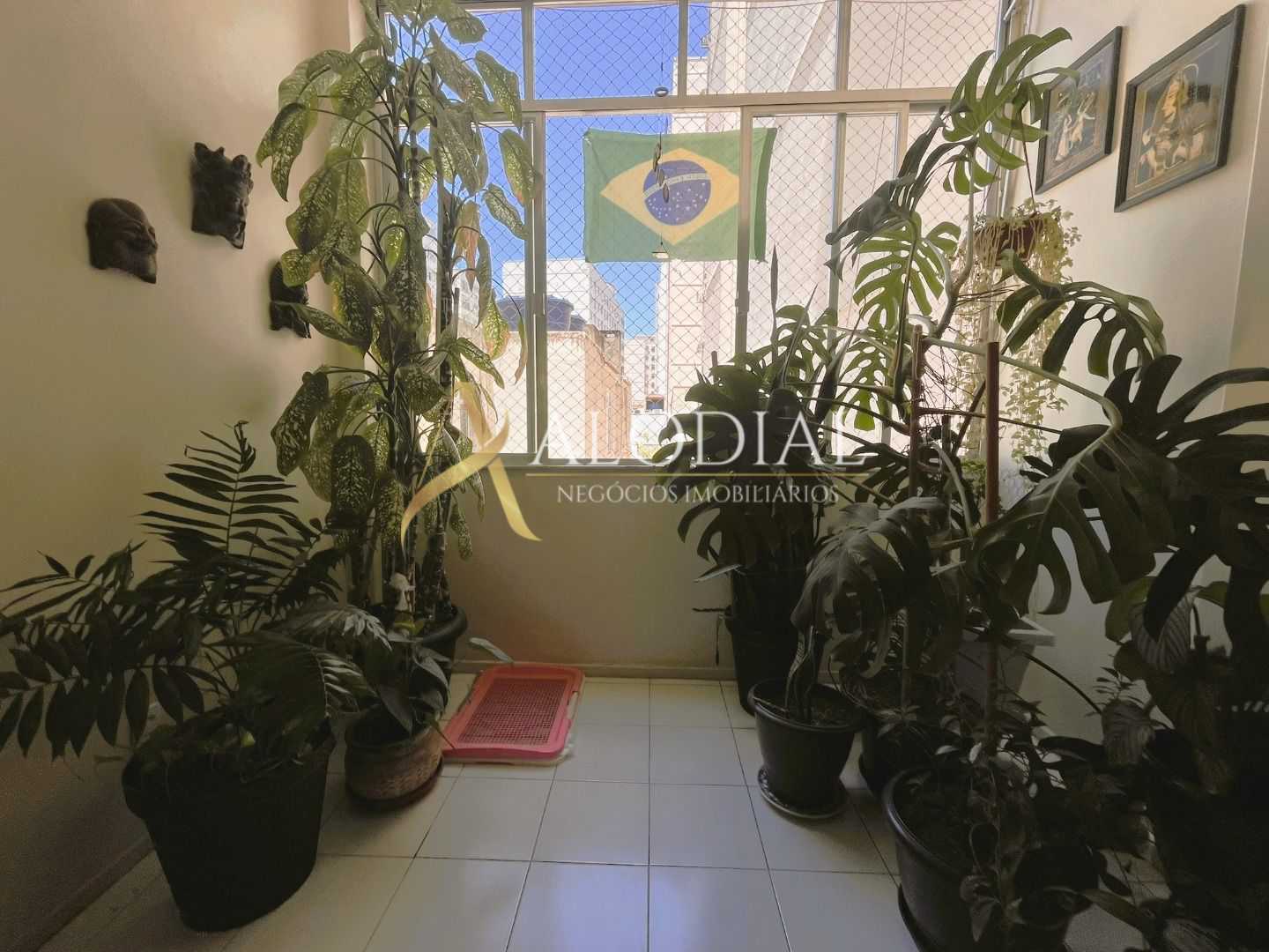 FOTO_8 - 8