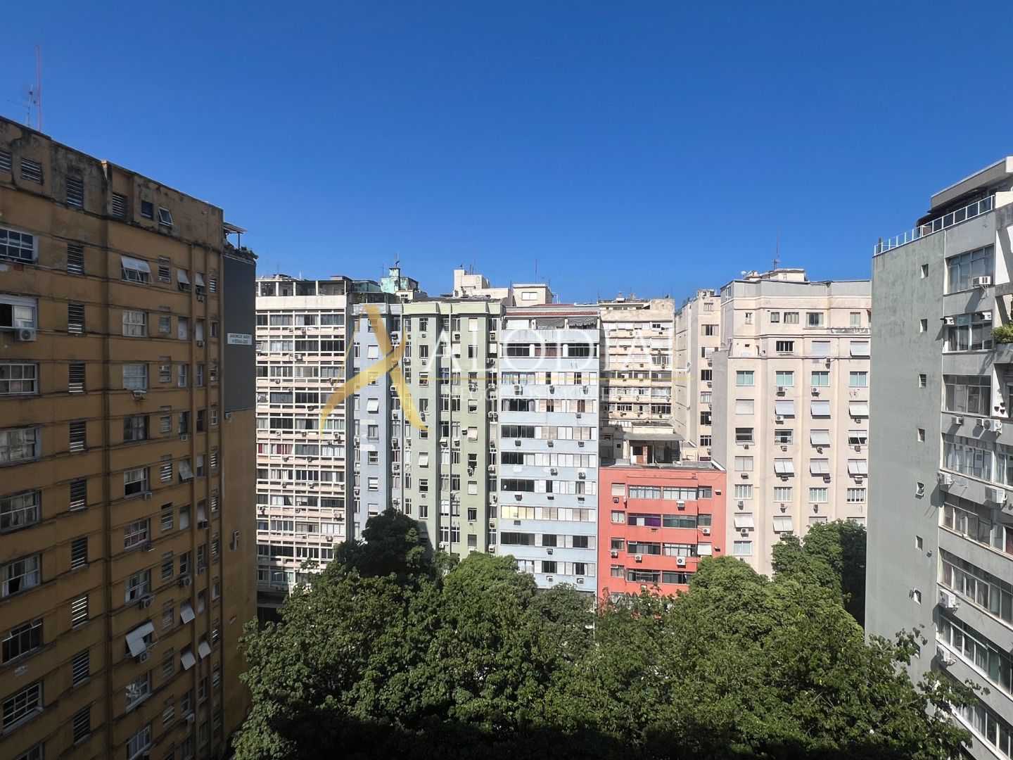 FOTO_15 - 15