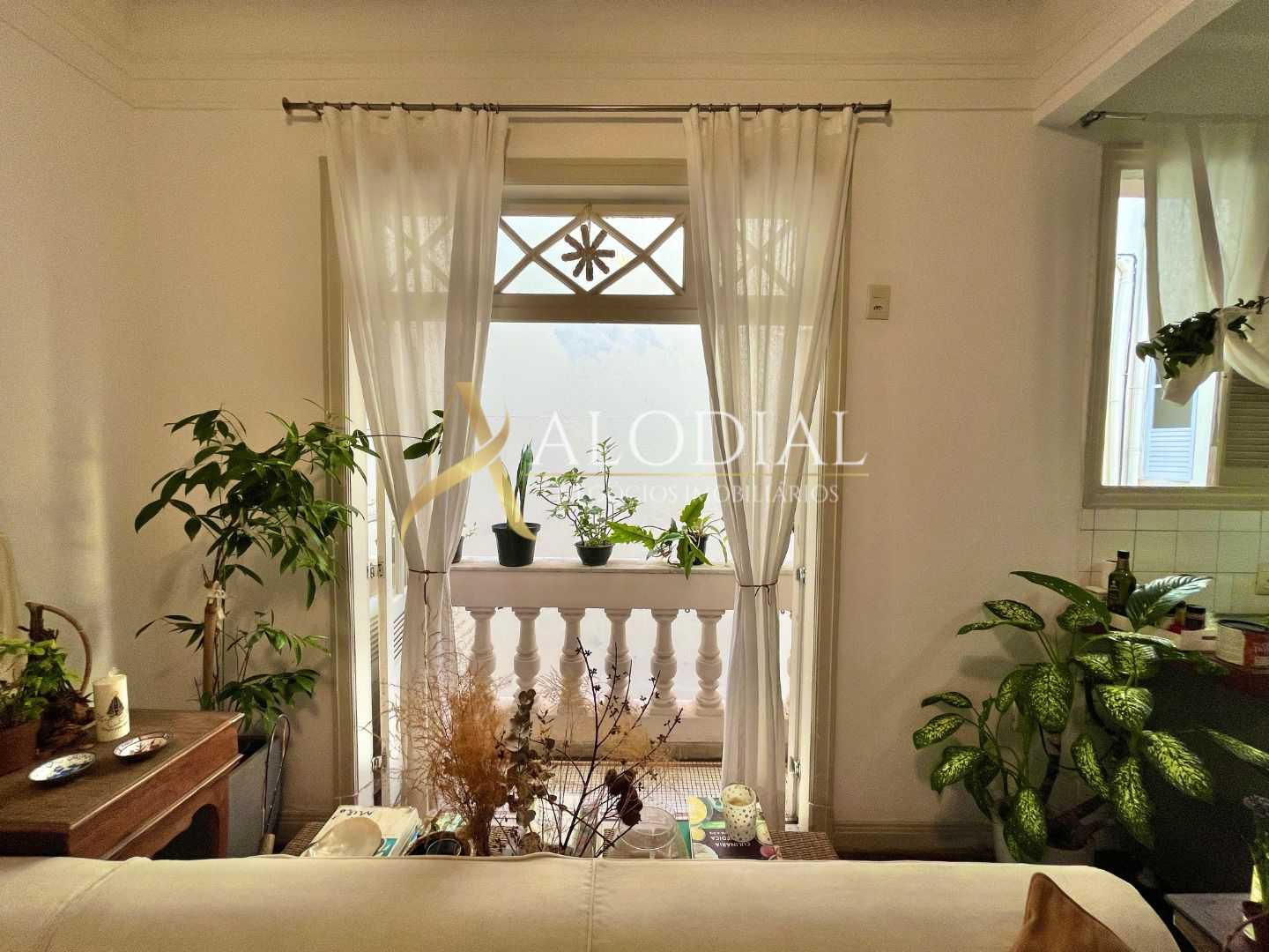 FOTO_8 - 8