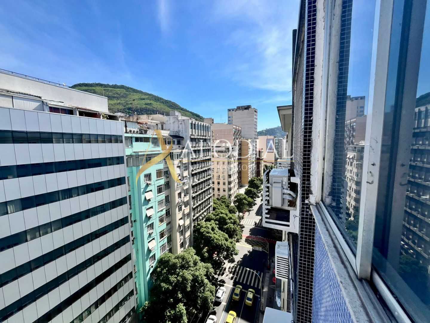 FOTO_11 - 11
