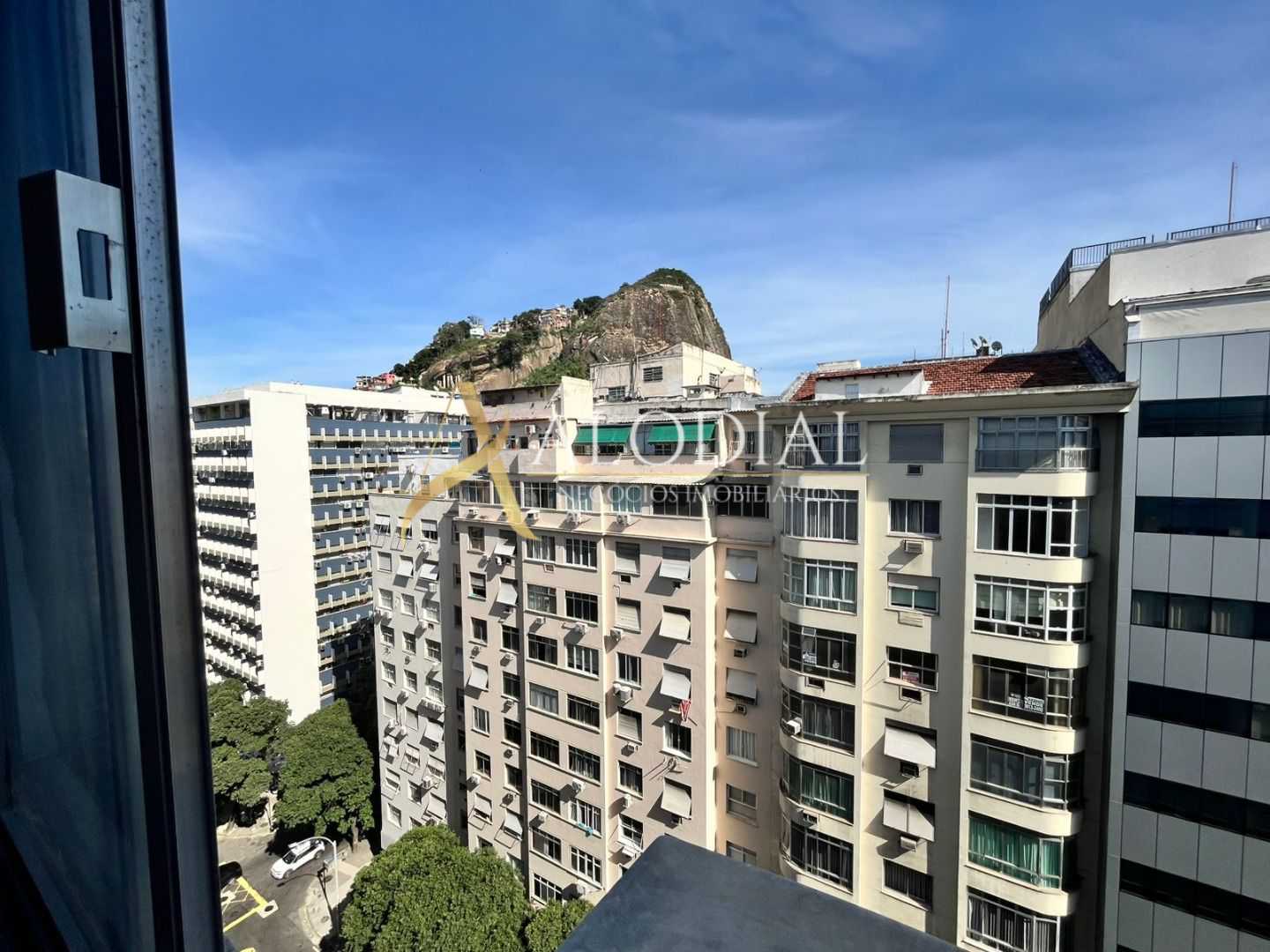 FOTO_13 - 13