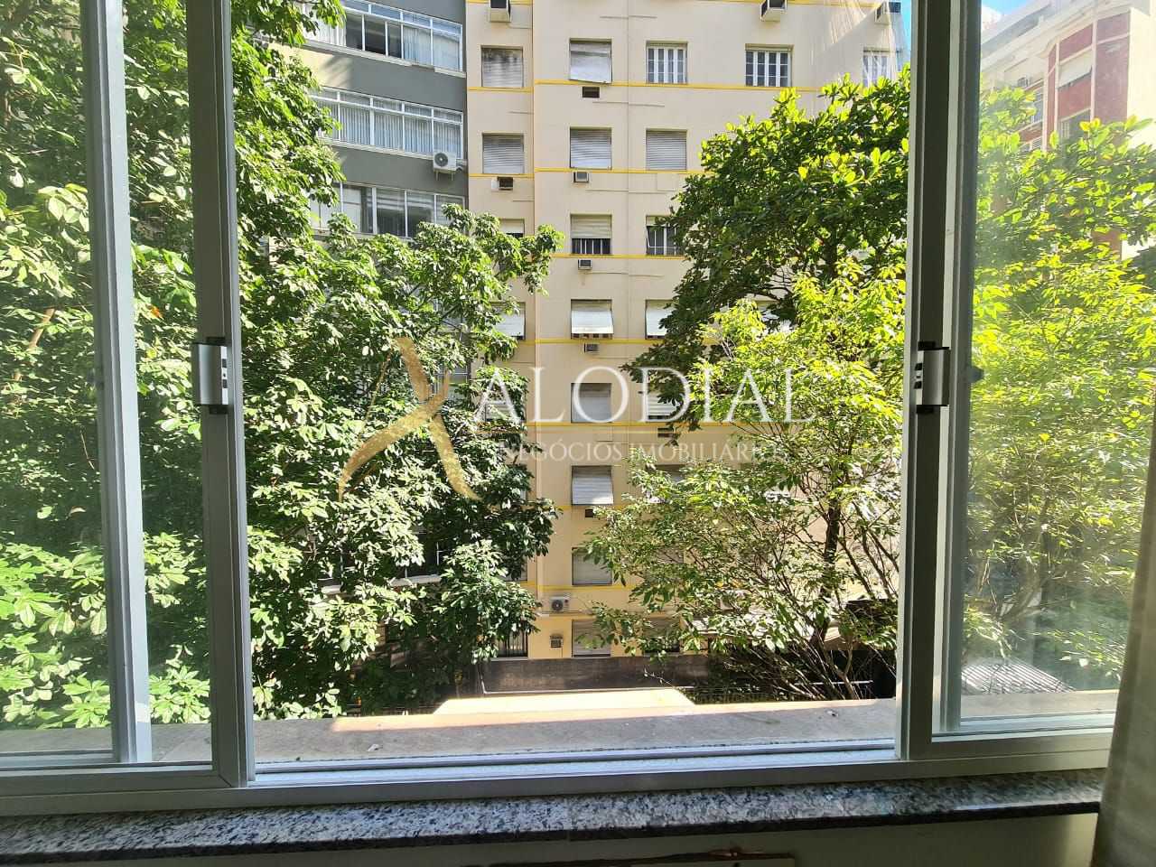 FOTO_11 - 11