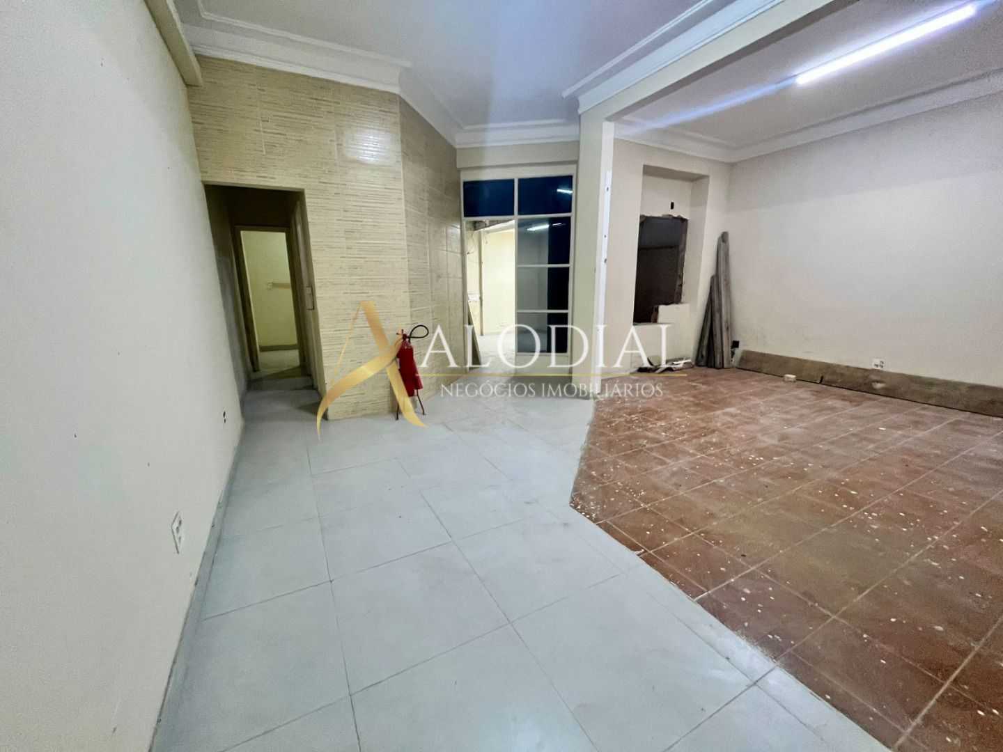 FOTO_12 - 12