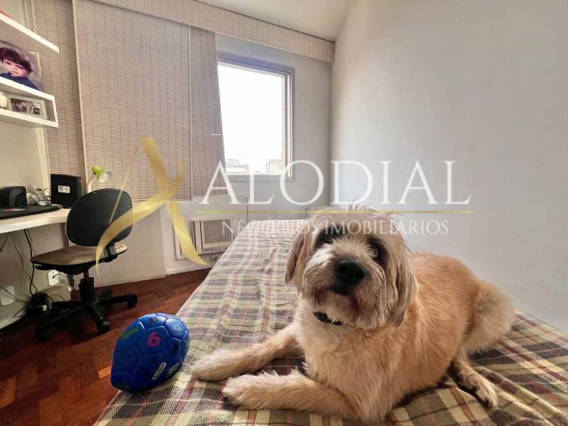 IMG-20250925-WA0093 - 21