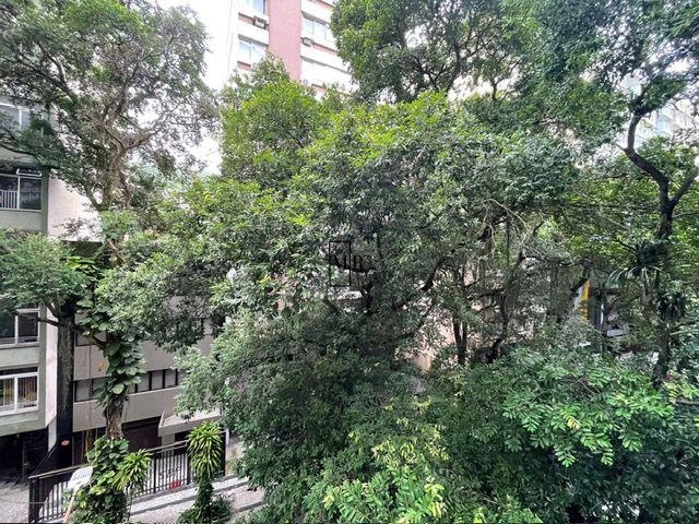 FOTO_11 - 7