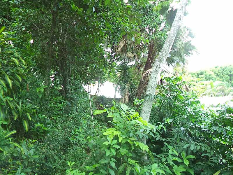 Conheça DSC03388 do imóvel - Terreno Multifamiliar à venda Freguesia (Jacarepaguá), Rio de Janeiro - R$ 1.500.000 - FRMF00024 - 5 DSC03388 - 5