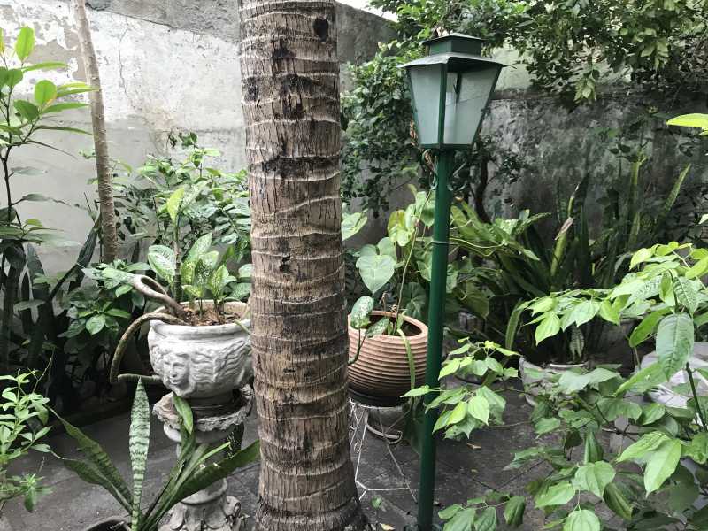 Conheça 29 do imóvel - Casa em Condomínio 3 quartos à venda Freguesia (Jacarepaguá), Rio de Janeiro - R$ 1.200.000 - FRCN30187 - 29 29 - 29