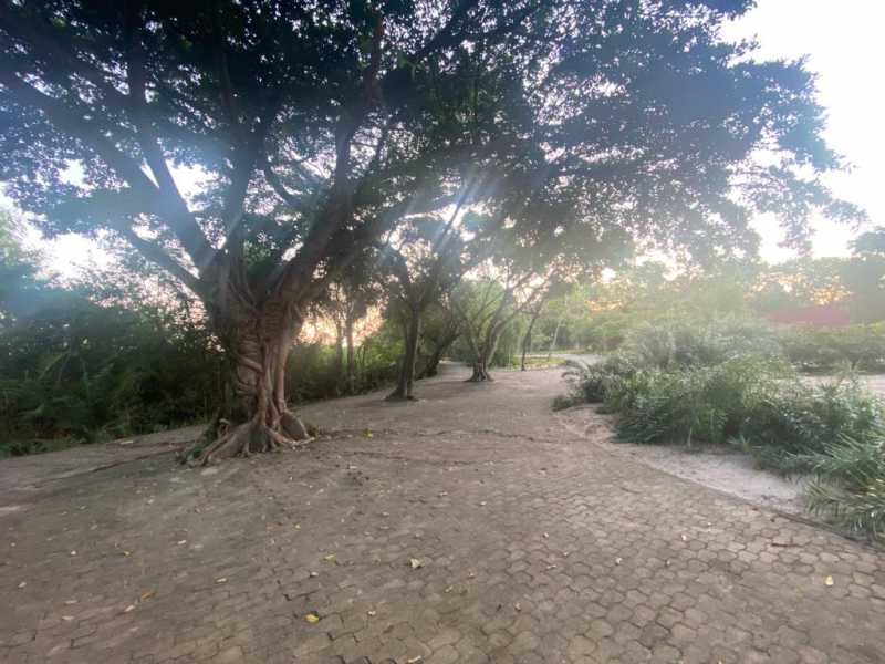 Conheça 24a8b155-78f9-4157-869e-a3515a do imóvel - Sala Comercial 544m² à venda Barra da Tijuca, Rio de Janeiro - R$ 2.600.000 - FRSL00149 - 7 24a8b155-78f9-4157-869e-a3515a - 7