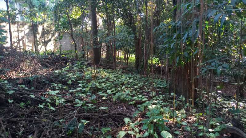 Conheça 9f9bf6b3-b834-4f9c-9266-a6ef8a do imóvel - Terreno Unifamiliar à venda Freguesia (Jacarepaguá), Rio de Janeiro - R$ 600.000 - FRUF00021 - 10 9f9bf6b3-b834-4f9c-9266-a6ef8a - 10