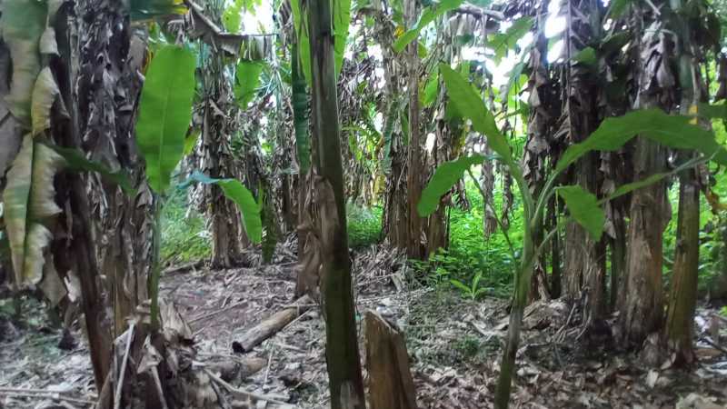 Conheça 47050153-8418-4278-83c7-c5b7e3 do imóvel - Terreno Unifamiliar à venda Freguesia (Jacarepaguá), Rio de Janeiro - R$ 600.000 - FRUF00021 - 17 47050153-8418-4278-83c7-c5b7e3 - 17
