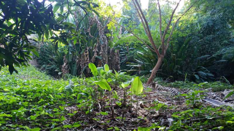 Conheça d9c28939-4094-4fa3-9fbc-a909c8 do imóvel - Terreno Unifamiliar à venda Freguesia (Jacarepaguá), Rio de Janeiro - R$ 600.000 - FRUF00021 - 19 d9c28939-4094-4fa3-9fbc-a909c8 - 19