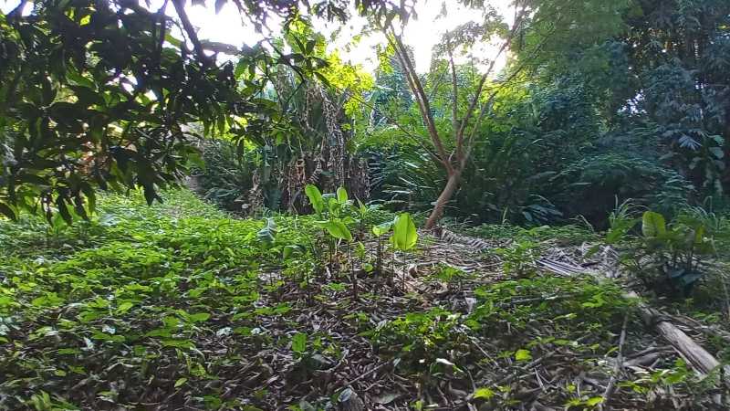 Conheça e6e1fca1-bcab-4cb9-8ae3-7d3a85 do imóvel - Terreno Unifamiliar à venda Freguesia (Jacarepaguá), Rio de Janeiro - R$ 600.000 - FRUF00021 - 20 e6e1fca1-bcab-4cb9-8ae3-7d3a85 - 20