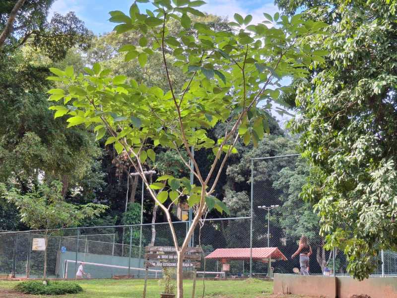 Conheça 35cafa5d-1e02-49c2-a4ed-a434b9 do imóvel - Casa em Condomínio 3 quartos à venda Jacarepaguá, Rio de Janeiro - R$ 1.180.000 - FRCN30293 - 25 35cafa5d-1e02-49c2-a4ed-a434b9 - 25