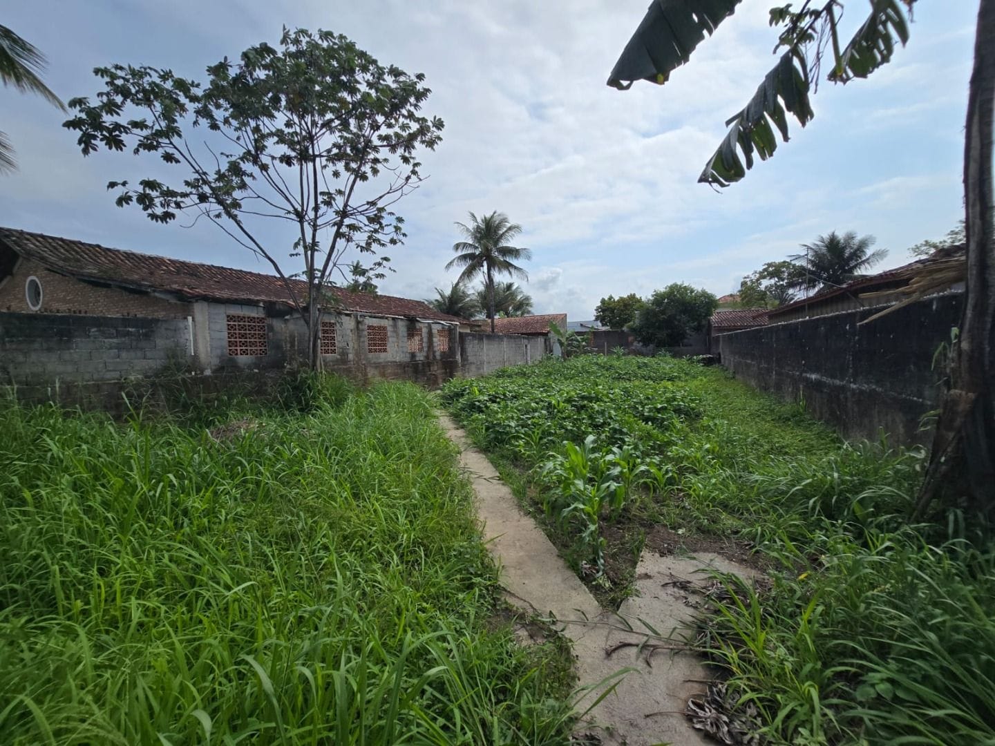 Conheça FOTO_2 do imóvel - Terreno Residencial à venda Caraguatatuba,SP - R$ 400.000 - TE0011.ESPACO - 4 FOTO_2 - 4