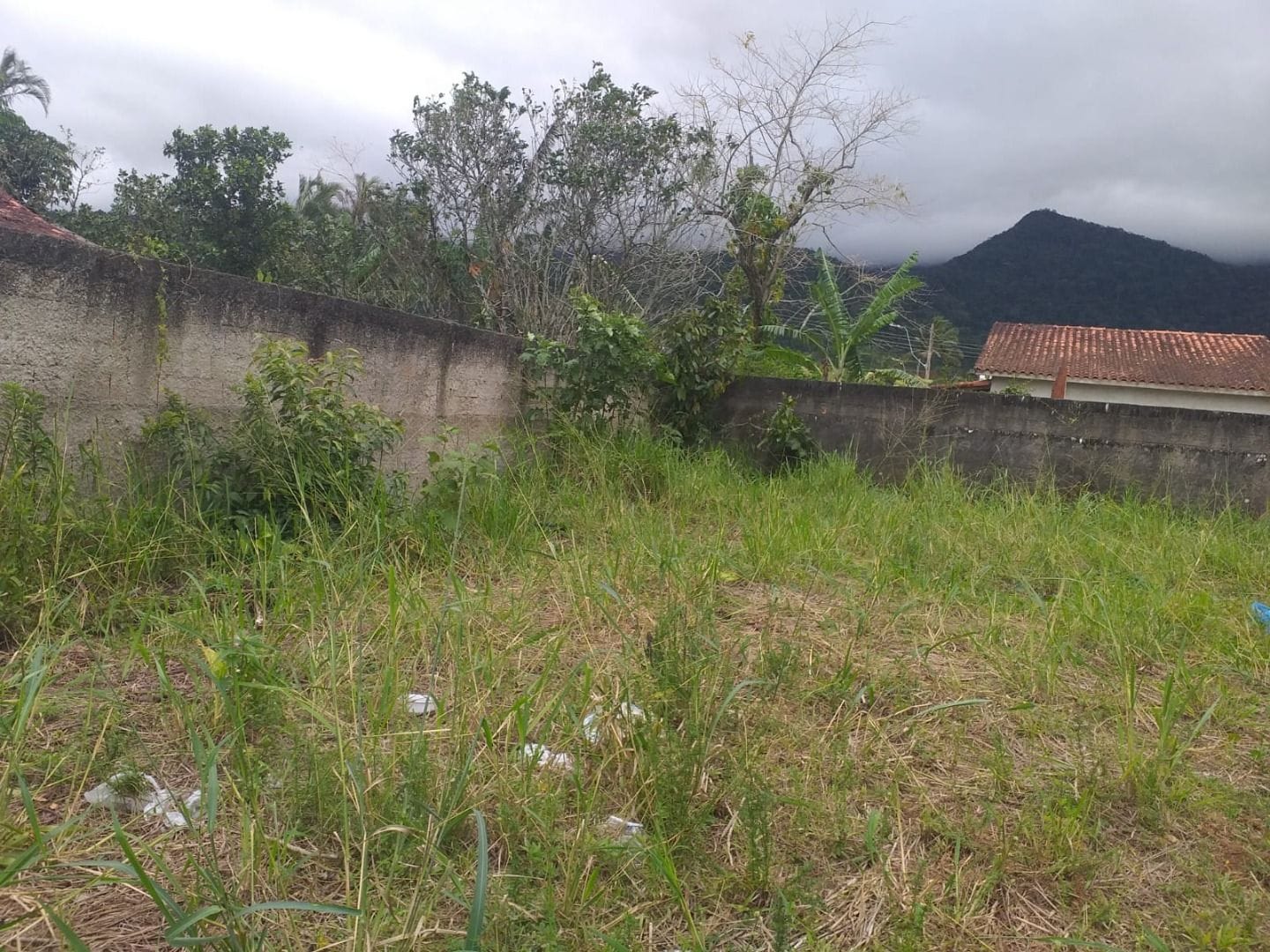 FOTO_2 - 2