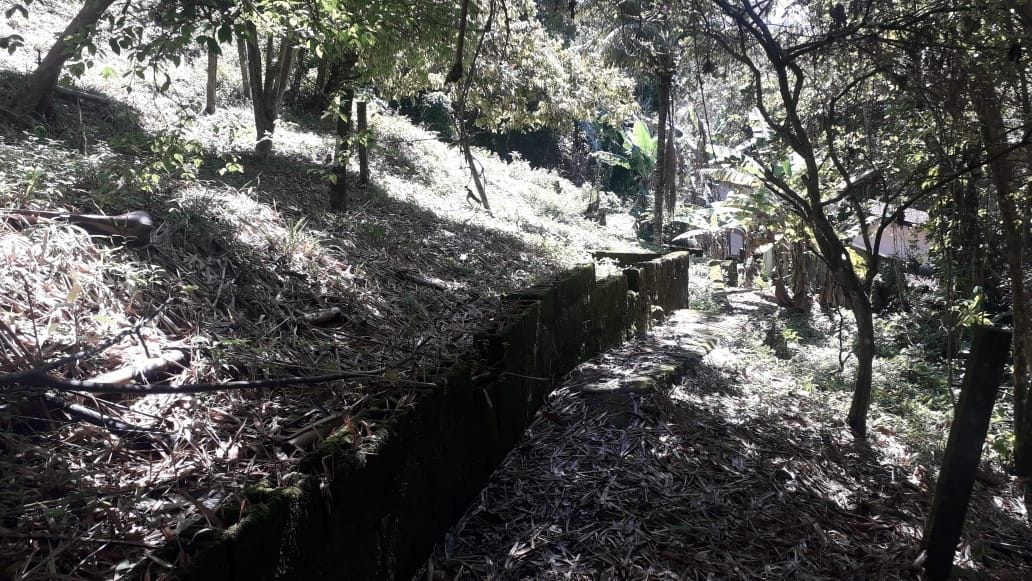 FOTO_5 - 5