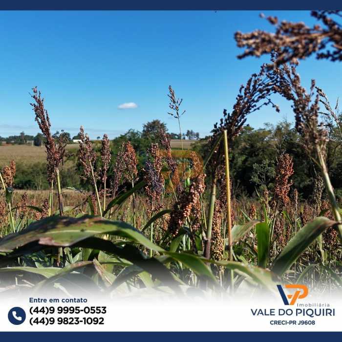 Conheça 140 do imóvel - Propriedade Rural à venda Maripá,PR - R$ 2.500 - VPRU00001 - 2 140 - 2