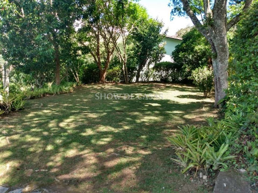 photos - 20