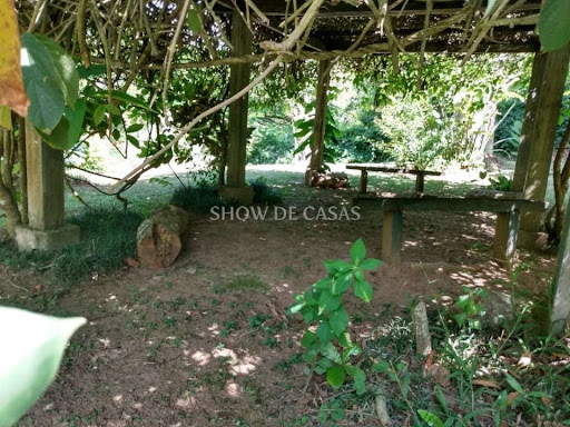 photos - 22