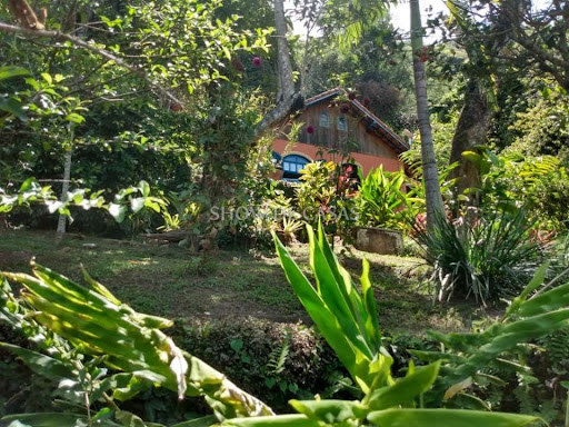photos - 6