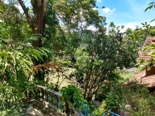 photos - 8